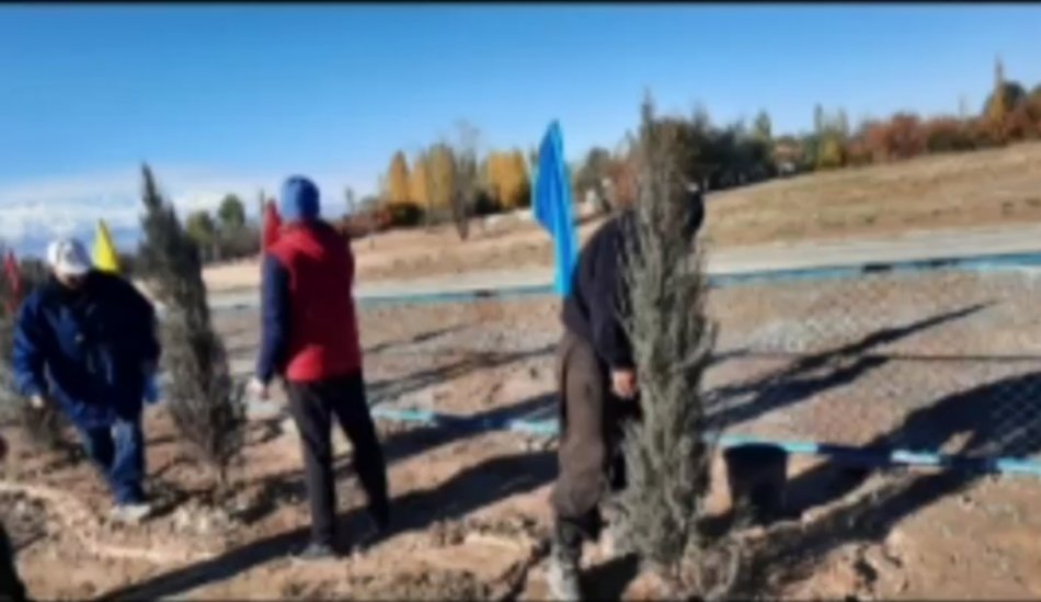 "Туған өлкені абаттандыру - көгалдандыру"